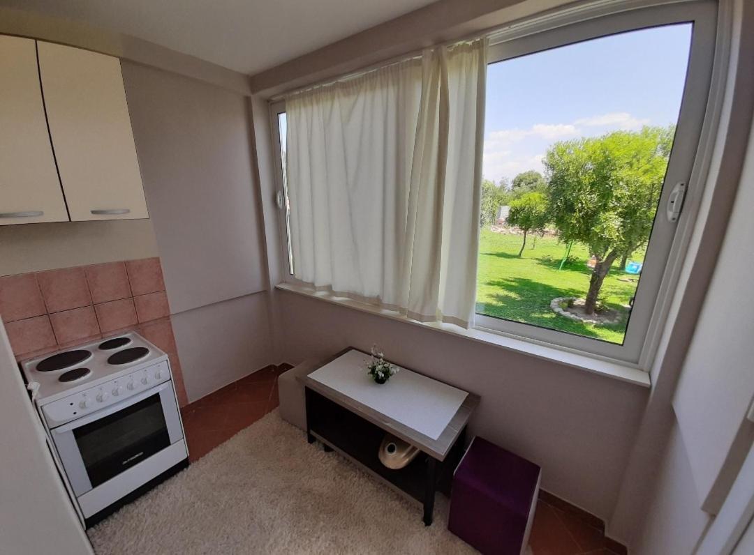 Apartment Helena Airport ポドゴリツァ エクステリア 写真