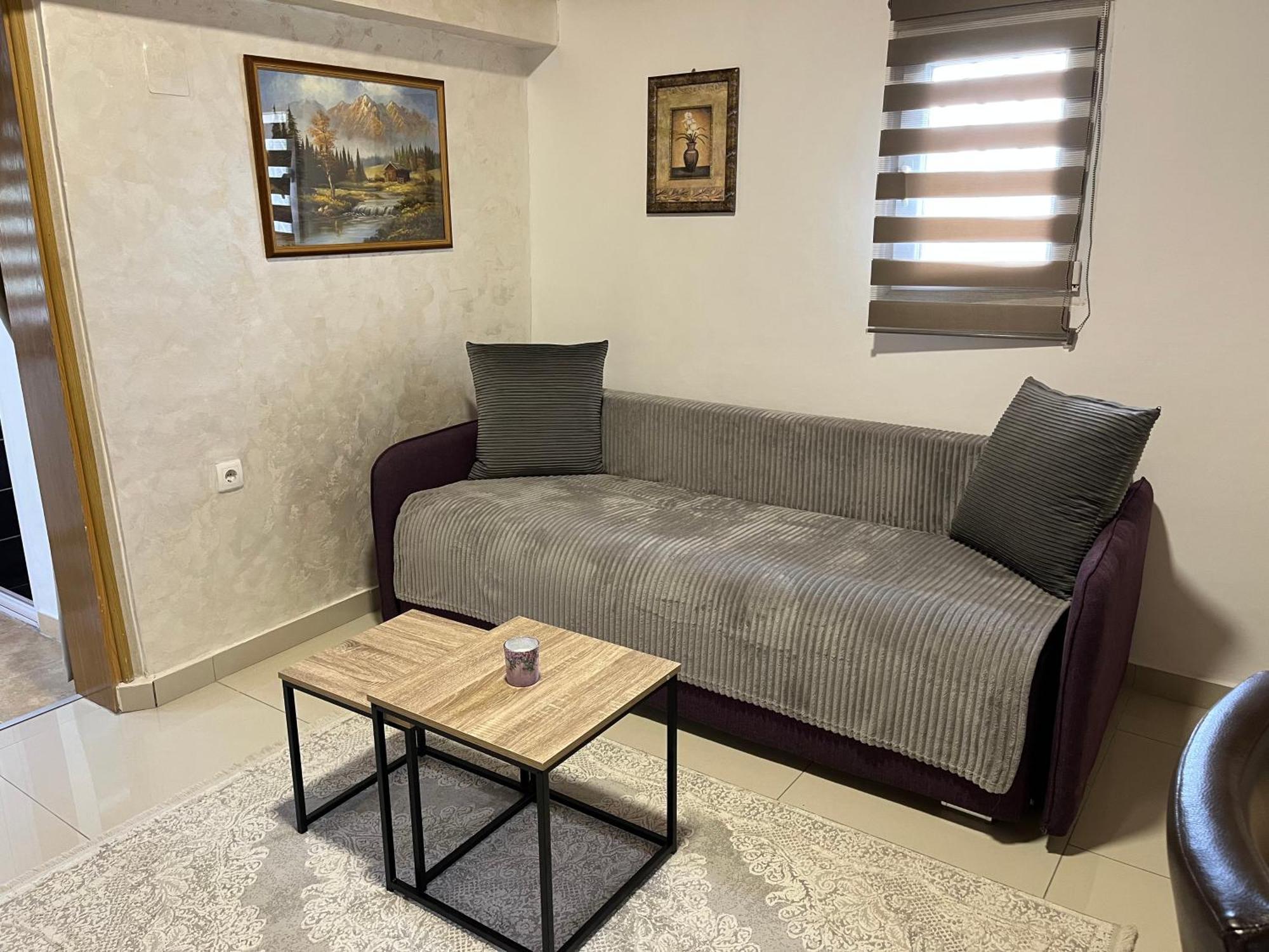 Apartment Helena Airport ポドゴリツァ エクステリア 写真